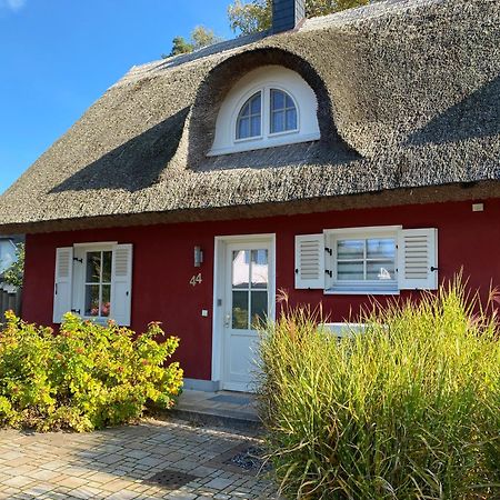 Ferienhaus Greta Glowe Exterior foto